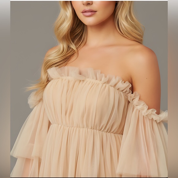 Off Shoulder Ruffle Mesh Dress - Picture 3 of 8